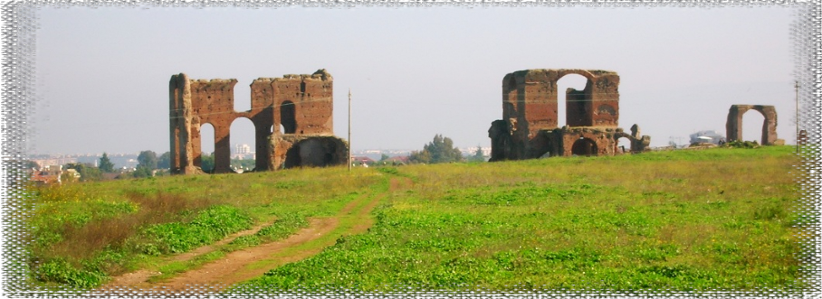 Biblioteca di Istanti di Bellezza