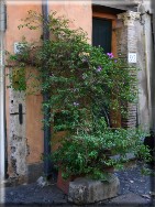 percorsi urbani