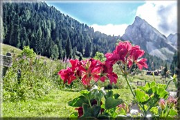 tra baite e cascate