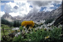 tra baite e cascate