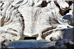 fontane di Roma
