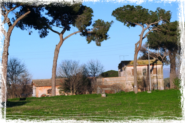 Biblioteca di Istanti di Bellezza