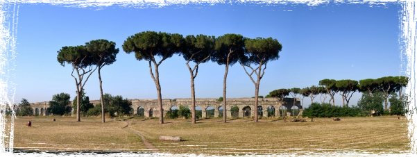 Biblioteca di Istanti di Bellezza