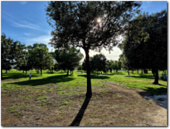 parco archeologico