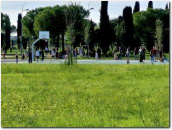 parco archeologico