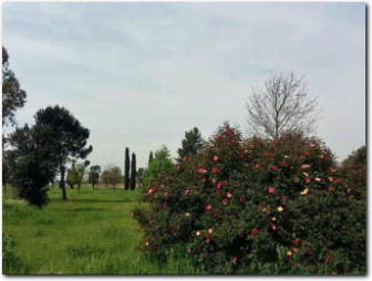 parco archeologico