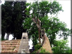 parco storico