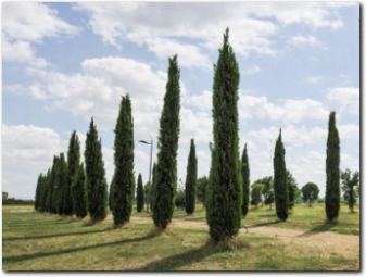 parco archeologico