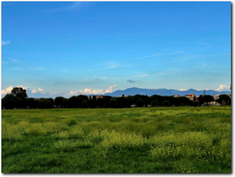 parco archeologico