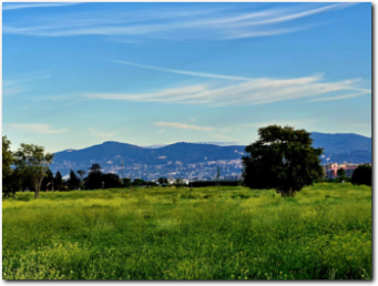 parco archeologico